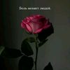 dywid96ymkpl