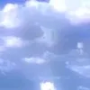 tpjmglmg64