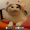 junxiang0223