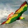 samy.alcon