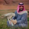 mashhour664