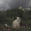 so0_471
