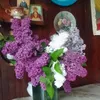 user43064902964408