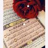 am_nawaf01