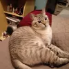 mundodocatucha