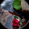 muhammad.zain1272