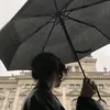 alessandranovelli4