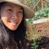 the_chinglish_farmer