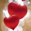 user5800036165261
