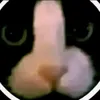silqueeeee