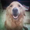 gus.jf