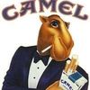 joecamel69