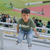 wildanwildboys