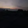 afrzl1_