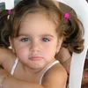 aranhasubindonaparede