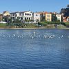 guisell008484