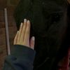 ivw77m