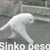 sinko__peso