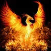 owen_the_fire_chicken