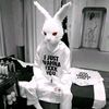 badbunny0771