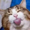 ayma9erstory