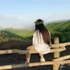 eva_na20