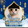 m._akbar3