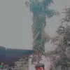 rafelcagasan