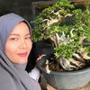 bonsai.art_bykwan