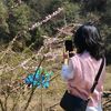 paru.shyangba