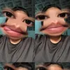 lannmeo5