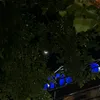 romerocuti20