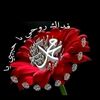 mahmahabdo1
