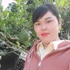bn.b.hu084