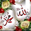 user6055044800113