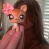 shesunicorn