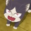 kokomi2078