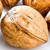 thewalnutwiggler
