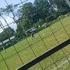 rlza_7