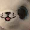 user666s24