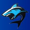 WILD Shark