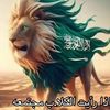 hayafh123