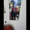 milagrosgodoy9632