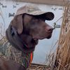 k9gamer88