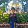mohdfirdaus3774