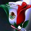 paulitagonzale