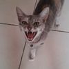 holajjhj5