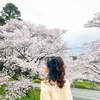 yasu_1810