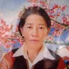 vimbabavin