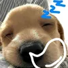 kun_11124